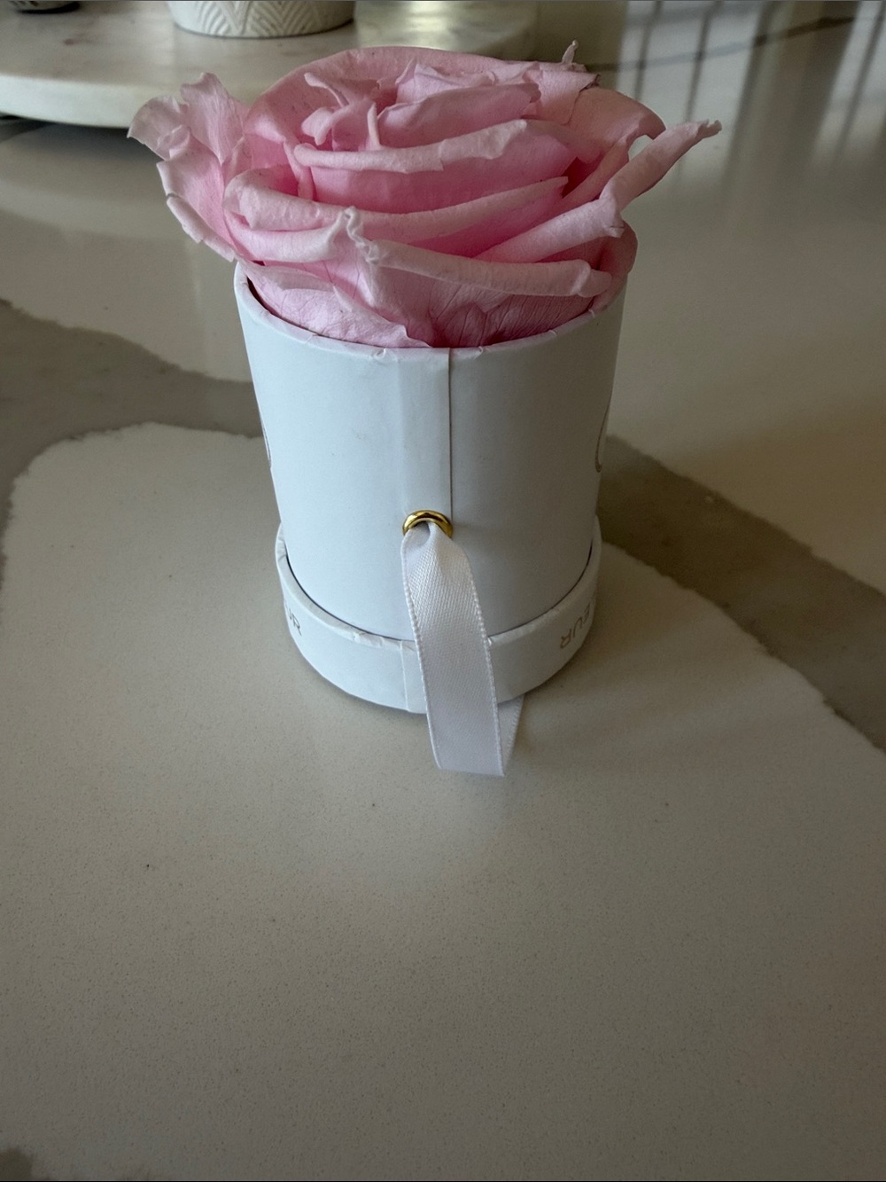 Venus Et Fleur Petit Round - Picture 3 of 7